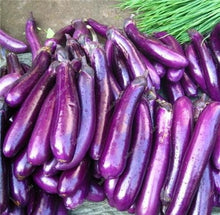 Load image into Gallery viewer, 100 pcs Rare eggplant bonsai flower potted plant organic vegetable trees southern United States Bonsai sweet fruit Easy to Grow