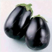 Load image into Gallery viewer, 100 pcs Rare eggplant bonsai flower potted plant organic vegetable trees southern United States Bonsai sweet fruit Easy to Grow