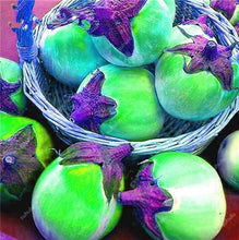 Load image into Gallery viewer, 100 pcs Rare eggplant bonsai flower potted plant organic vegetable trees southern United States Bonsai sweet fruit Easy to Grow