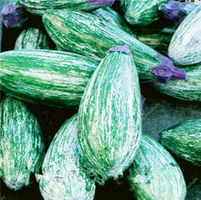 Load image into Gallery viewer, 100 pcs Rare eggplant bonsai flower potted plant organic vegetable trees southern United States Bonsai sweet fruit Easy to Grow