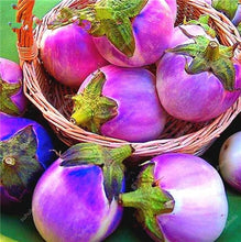 Load image into Gallery viewer, 100 pcs Rare eggplant bonsai flower potted plant organic vegetable trees southern United States Bonsai sweet fruit Easy to Grow
