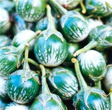 Load image into Gallery viewer, 100 pcs Rare eggplant bonsai flower potted plant organic vegetable trees southern United States Bonsai sweet fruit Easy to Grow