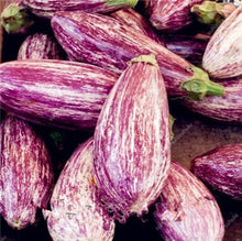 Load image into Gallery viewer, 100 pcs Rare eggplant bonsai flower potted plant organic vegetable trees southern United States Bonsai sweet fruit Easy to Grow