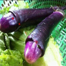 Load image into Gallery viewer, 100 pcs Rare eggplant bonsai flower potted plant organic vegetable trees southern United States Bonsai sweet fruit Easy to Grow