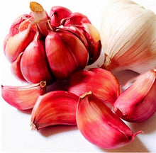 Load image into Gallery viewer, 200 pcs Multi-petals Garlic Bonsai, Red And Healthy Plant Onion Garlics Vegetable Bonsai Very Easy Grow Kitchen Seasoning Food