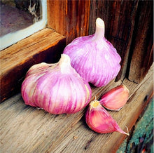 Load image into Gallery viewer, 200 pcs Multi-petals Garlic Bonsai, Red And Healthy Plant Onion Garlics Vegetable Bonsai Very Easy Grow Kitchen Seasoning Food
