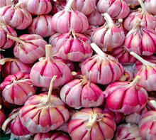 Load image into Gallery viewer, 200 pcs Multi-petals Garlic Bonsai, Red And Healthy Plant Onion Garlics Vegetable Bonsai Very Easy Grow Kitchen Seasoning Food
