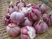 Load image into Gallery viewer, 200 pcs Multi-petals Garlic Bonsai, Red And Healthy Plant Onion Garlics Vegetable Bonsai Very Easy Grow Kitchen Seasoning Food