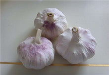 Load image into Gallery viewer, 200 pcs Multi-petals Garlic Bonsai, Red And Healthy Plant Onion Garlics Vegetable Bonsai Very Easy Grow Kitchen Seasoning Food