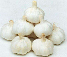 Load image into Gallery viewer, 200 pcs Multi-petals Garlic Bonsai, Red And Healthy Plant Onion Garlics Vegetable Bonsai Very Easy Grow Kitchen Seasoning Food