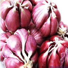 Load image into Gallery viewer, 200 pcs Multi-petals Garlic Bonsai, Red And Healthy Plant Onion Garlics Vegetable Bonsai Very Easy Grow Kitchen Seasoning Food