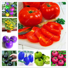 Load image into Gallery viewer, 200 pcs Extra-tasty Tomato Bonsai,Delicious Sweet Cherry Tomato Organic Fruit Vegetable Edible Food Balcony Potted Garden Plant