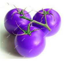 Load image into Gallery viewer, 200 pcs Extra-tasty Tomato Bonsai,Delicious Sweet Cherry Tomato Organic Fruit Vegetable Edible Food Balcony Potted Garden Plant