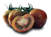 Load image into Gallery viewer, 200 pcs Extra-tasty Tomato Bonsai,Delicious Sweet Cherry Tomato Organic Fruit Vegetable Edible Food Balcony Potted Garden Plant
