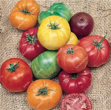 Load image into Gallery viewer, 200 pcs Extra-tasty Tomato Bonsai,Delicious Sweet Cherry Tomato Organic Fruit Vegetable Edible Food Balcony Potted Garden Plant