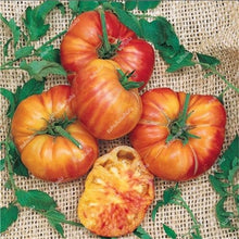 Load image into Gallery viewer, 200 pcs Extra-tasty Tomato Bonsai,Delicious Sweet Cherry Tomato Organic Fruit Vegetable Edible Food Balcony Potted Garden Plant