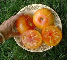 Load image into Gallery viewer, 200 pcs Extra-tasty Tomato Bonsai,Delicious Sweet Cherry Tomato Organic Fruit Vegetable Edible Food Balcony Potted Garden Plant