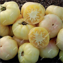 Load image into Gallery viewer, 200 pcs Extra-tasty Tomato Bonsai,Delicious Sweet Cherry Tomato Organic Fruit Vegetable Edible Food Balcony Potted Garden Plant