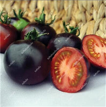 Load image into Gallery viewer, 200 pcs Extra-tasty Tomato Bonsai,Delicious Sweet Cherry Tomato Organic Fruit Vegetable Edible Food Balcony Potted Garden Plant