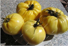 Load image into Gallery viewer, 200 pcs Extra-tasty Tomato Bonsai,Delicious Sweet Cherry Tomato Organic Fruit Vegetable Edible Food Balcony Potted Garden Plant