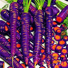 Load image into Gallery viewer, 100 pcs/bag Heirloom Ginseng Carrot Bonsai, Non-GMO Carrot Bonsai, Potted Fruit Vegetable Bonsai For Home Garden Planting