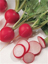 Load image into Gallery viewer, 100 pcs Rainbow Cherry Belle Radish Bonsai 100% Real Organic Vegetable Bonsai,Strong Adaptability, Rich Nutrition Four seasons