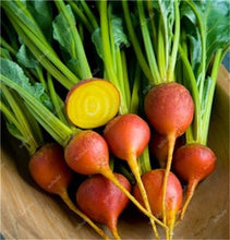 Load image into Gallery viewer, 100 pcs Rainbow Cherry Belle Radish Bonsai 100% Real Organic Vegetable Bonsai,Strong Adaptability, Rich Nutrition Four seasons