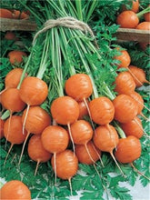 Load image into Gallery viewer, 100 pcs Rainbow Cherry Belle Radish Bonsai 100% Real Organic Vegetable Bonsai,Strong Adaptability, Rich Nutrition Four seasons