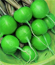 Load image into Gallery viewer, 100 pcs Rainbow Cherry Belle Radish Bonsai 100% Real Organic Vegetable Bonsai,Strong Adaptability, Rich Nutrition Four seasons