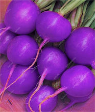 Load image into Gallery viewer, 100 pcs Rainbow Cherry Belle Radish Bonsai 100% Real Organic Vegetable Bonsai,Strong Adaptability, Rich Nutrition Four seasons
