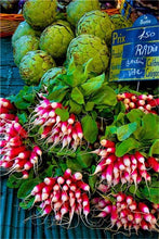 Load image into Gallery viewer, 100 pcs Rainbow Cherry Belle Radish Bonsai 100% Real Organic Vegetable Bonsai,Strong Adaptability, Rich Nutrition Four seasons