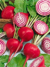 Load image into Gallery viewer, 100 pcs Rainbow Cherry Belle Radish Bonsai 100% Real Organic Vegetable Bonsai,Strong Adaptability, Rich Nutrition Four seasons