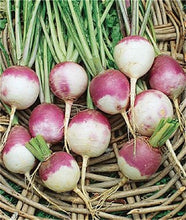 Load image into Gallery viewer, 100 pcs Rainbow Cherry Belle Radish Bonsai 100% Real Organic Vegetable Bonsai,Strong Adaptability, Rich Nutrition Four seasons