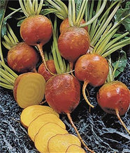 Load image into Gallery viewer, 100 pcs Rainbow Cherry Belle Radish Bonsai 100% Real Organic Vegetable Bonsai,Strong Adaptability, Rich Nutrition Four seasons