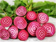 Load image into Gallery viewer, 100 pcs Dark Red Beetroot Bonsai Edible Organic Delicious Vegetables Bonsai Plant Home Garden Easy To Grow Beet Plant Pot