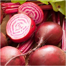 Load image into Gallery viewer, 100 pcs Dark Red Beetroot Bonsai Edible Organic Delicious Vegetables Bonsai Plant Home Garden Easy To Grow Beet Plant Pot