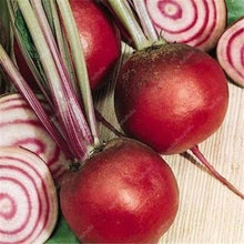 Load image into Gallery viewer, 100 pcs Dark Red Beetroot Bonsai Edible Organic Delicious Vegetables Bonsai Plant Home Garden Easy To Grow Beet Plant Pot