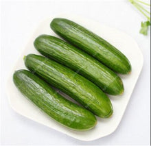 Load image into Gallery viewer, 100 pcs/bag Mini cucumber plants Non-GMO delicious cucumber fruit and vegetable bonsai for home garden planting, Easy to Grow