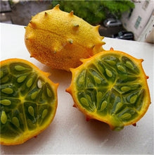 Load image into Gallery viewer, 100 pcs/bag Mini cucumber plants Non-GMO delicious cucumber fruit and vegetable bonsai for home garden planting, Easy to Grow