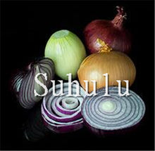 Load image into Gallery viewer, Sale!100 pcs/bag Fresh Giant Purple Onion Plants Vegetable Plantas 95%+ Germination Vegetable Onion for Home Garden Easy to Grow