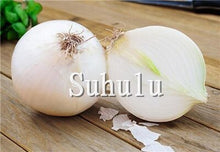 Load image into Gallery viewer, Sale!100 pcs/bag Fresh Giant Purple Onion Plants Vegetable Plantas 95%+ Germination Vegetable Onion for Home Garden Easy to Grow