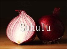Load image into Gallery viewer, Sale!100 pcs/bag Fresh Giant Purple Onion Plants Vegetable Plantas 95%+ Germination Vegetable Onion for Home Garden Easy to Grow