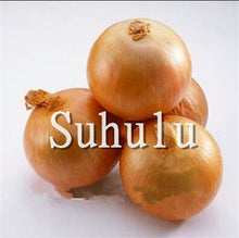 Load image into Gallery viewer, Sale!100 pcs/bag Fresh Giant Purple Onion Plants Vegetable Plantas 95%+ Germination Vegetable Onion for Home Garden Easy to Grow