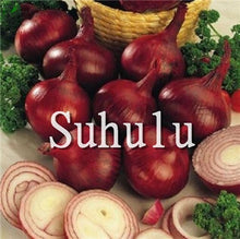 Load image into Gallery viewer, Sale!100 pcs/bag Fresh Giant Purple Onion Plants Vegetable Plantas 95%+ Germination Vegetable Onion for Home Garden Easy to Grow