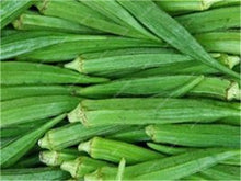 Load image into Gallery viewer, New Arrival Organic 50 pcs Okra bonsais Non-GMO Good For Kidney Garden Supplies For Fun Countryside Garden, the Budding Rate 97%