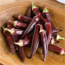 Load image into Gallery viewer, New Arrival Organic 50 pcs Okra bonsais Non-GMO Good For Kidney Garden Supplies For Fun Countryside Garden, the Budding Rate 97%
