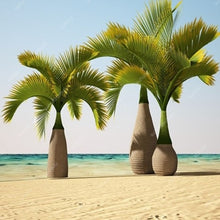 Load image into Gallery viewer, 10 pcs Palm Flores Bonsai, Ravenala Madagascariensis Chinese Fan Palm Plant,Tall Evergreen Tree Diy Garden,budding rate 97%