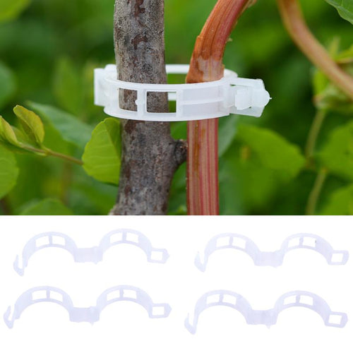 50/100/200pcs Tomato Garden Plastic Plant Support Clips for Plant Type Plants Hanging Vine Garden Twine Greenhouse Tomato Plant