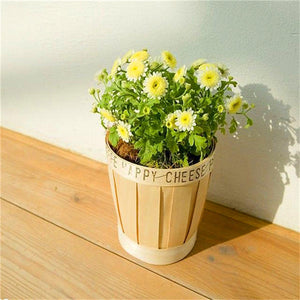 Big promotion! Violet daisy 100 / bag beautiful daisy bonsai flower natural plant home garden decoration free shipping