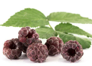 300pcs Raspberry plants Mixed Colors Super Big Raspberry Fruit plants Rare Wild Strawberry Tree plants Flowers Bonsai For Garden